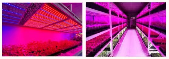 yl23455����(�й�)�ɷ����޹�˾