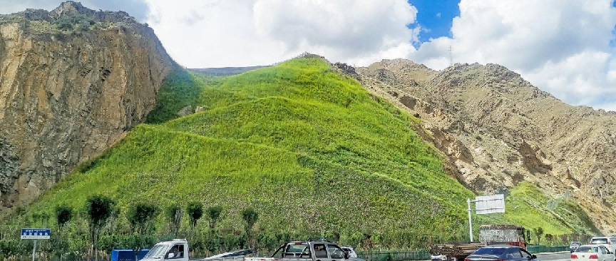 yl23455����(�й�)�ɷ����޹�˾